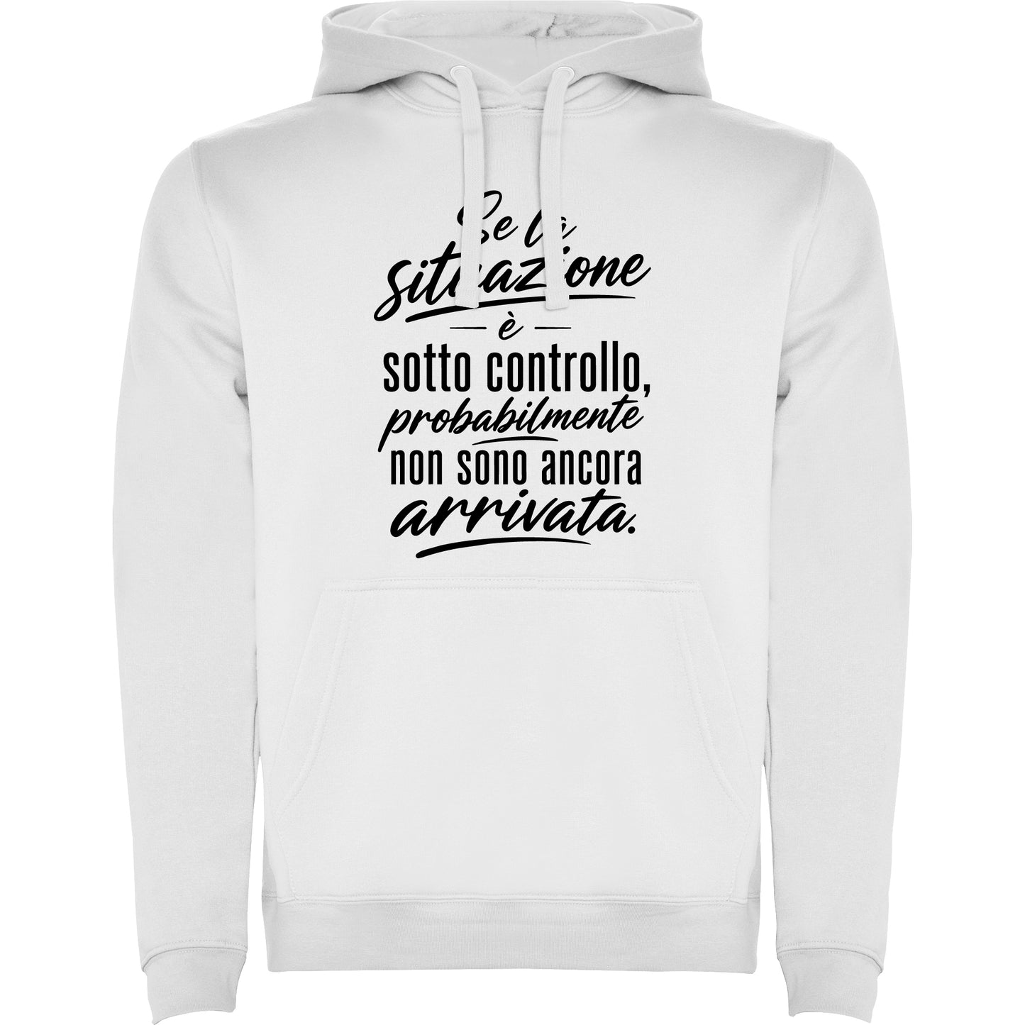Situazione sotto controllo