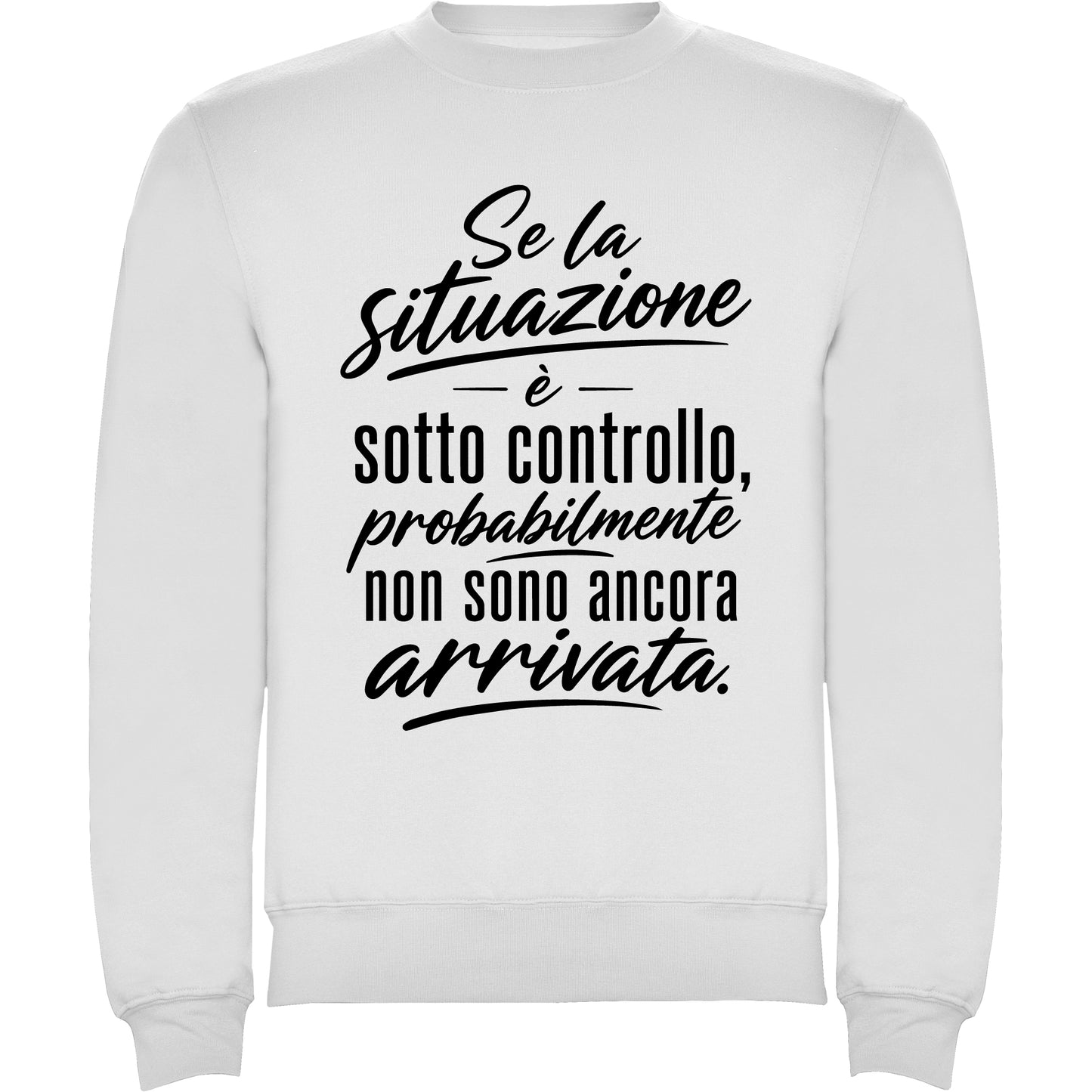 Situazione sotto controllo