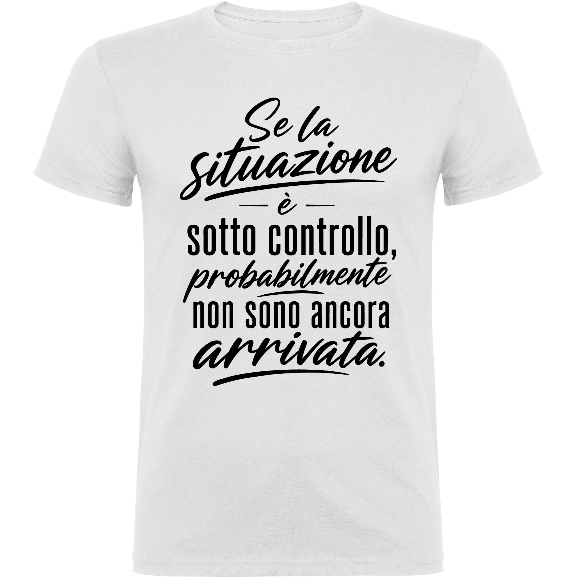 Situazione sotto controllo