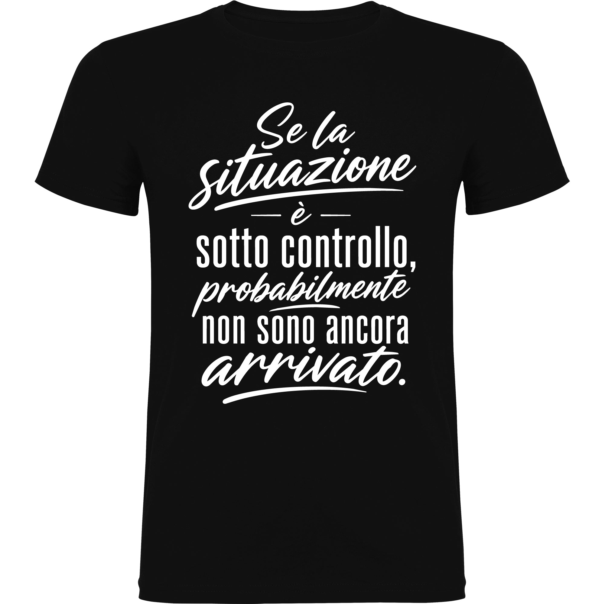 Situazione sotto controllo