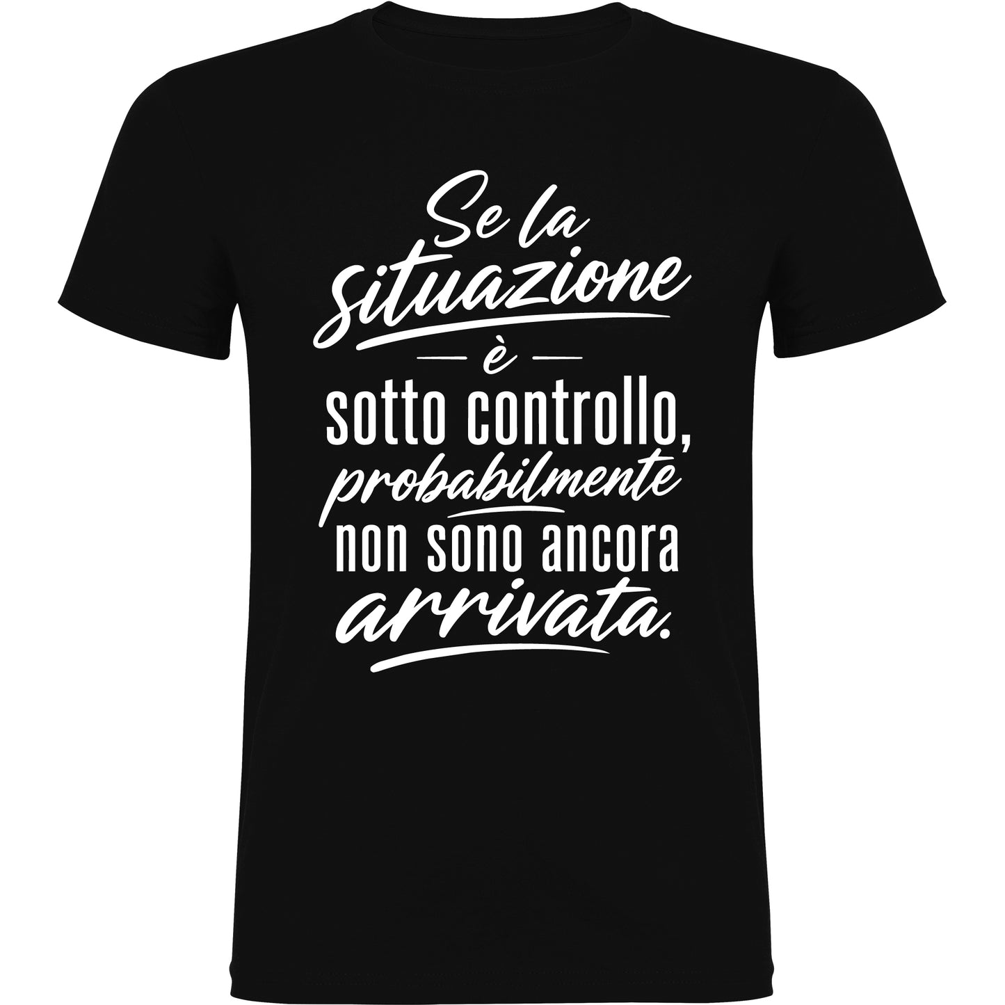 Situazione sotto controllo