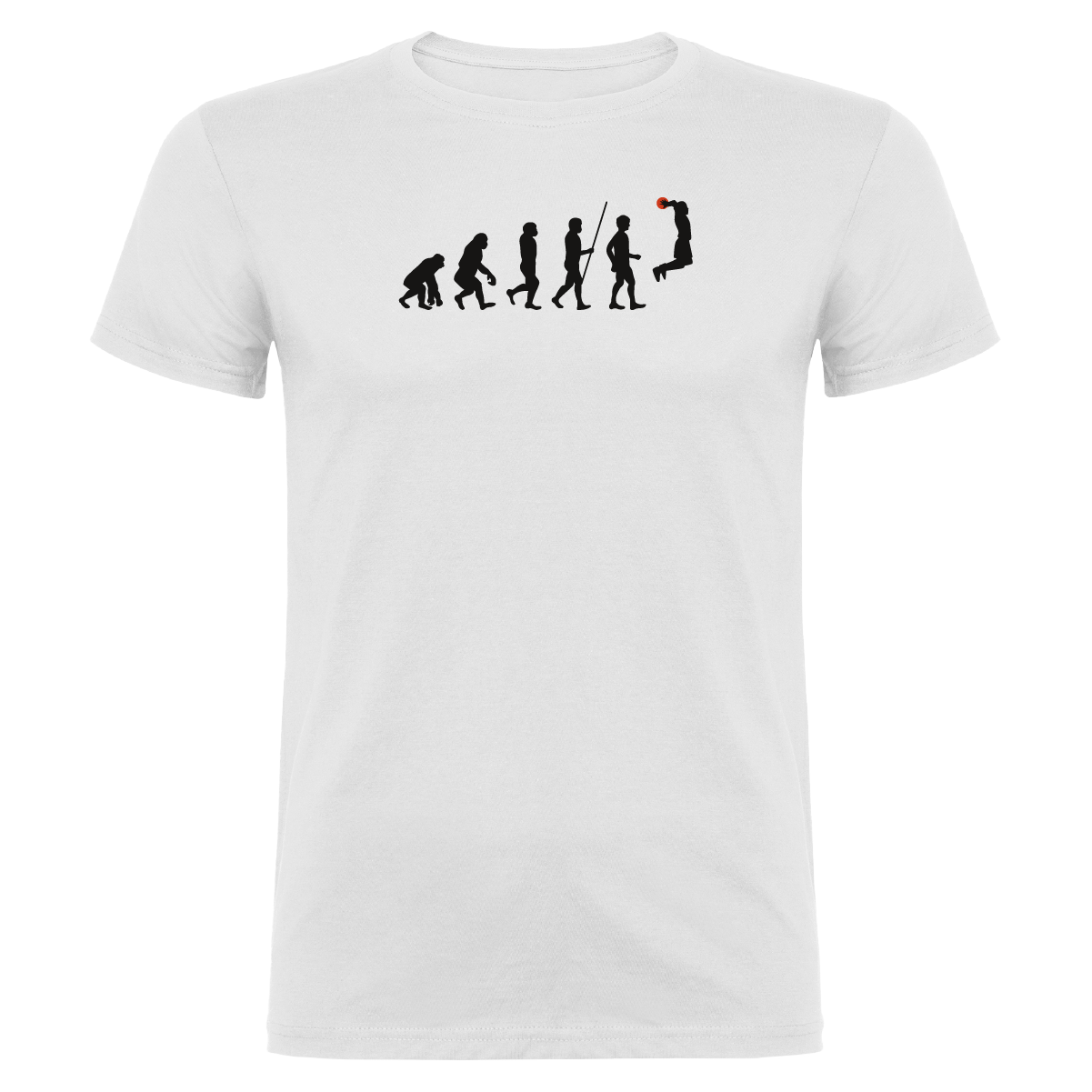Evolution Basketball