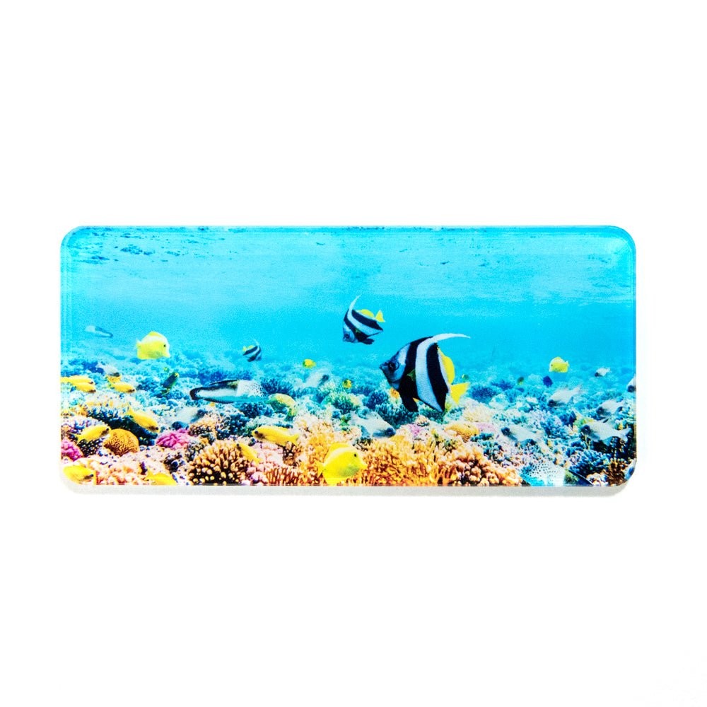 Calamita in plexiglass trasparente panoramica 110x50 mm - Identity SRLs