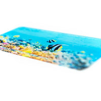 Calamita in plexiglass trasparente panoramica 110x50 mm - Identity SRLs