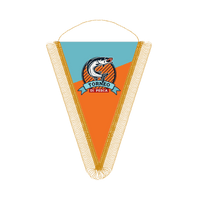 Gagliardetto triangolare 22x30 cm - Identity SRLs