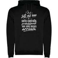 Situazione sotto controllo - Identity SRLs