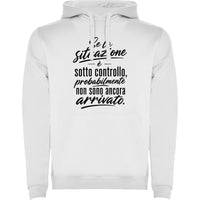 Situazione sotto controllo - Identity SRLs